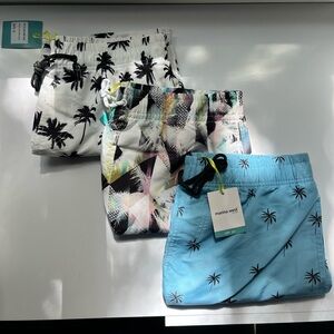 81 count | Men’s Shorts / Swimming Trunks | BULK ORDER